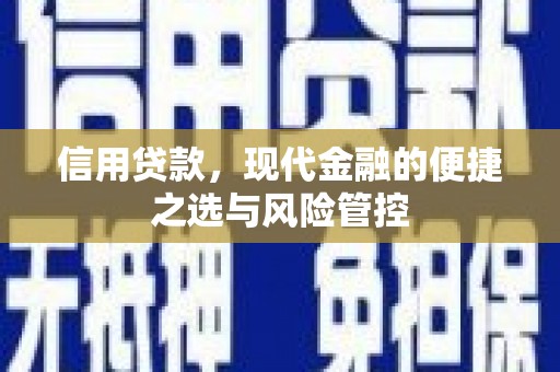 沿滩信用贷款，现代金融的便捷之选与风险管控