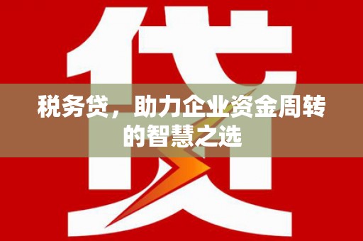 驻马店税务贷，助力企业资金周转的智慧之选