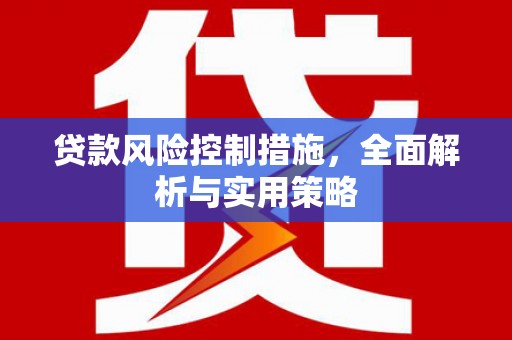 吴桥贷款风险控制措施，全面解析与实用策略