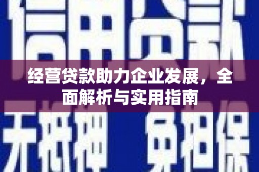 岭东经营贷款助力企业发展，全面解析与实用指南
