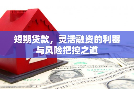 理县短期贷款，灵活融资的利器与风险把控之道
