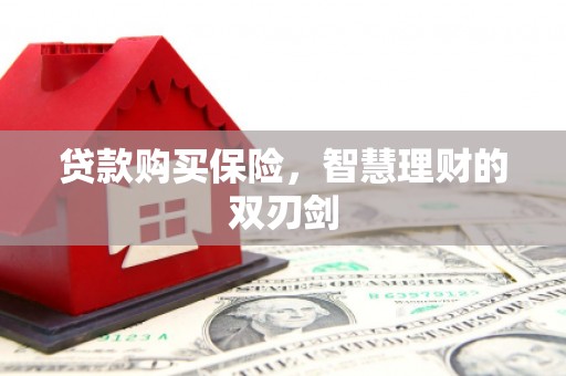 苍溪贷款购买保险，智慧理财的双刃剑