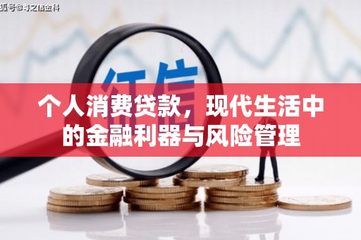 绥滨个人消费贷款，现代生活中的金融利器与风险管理