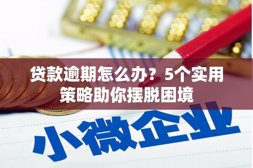 来宾贷款逾期怎么办？5个实用策略助你摆脱困境