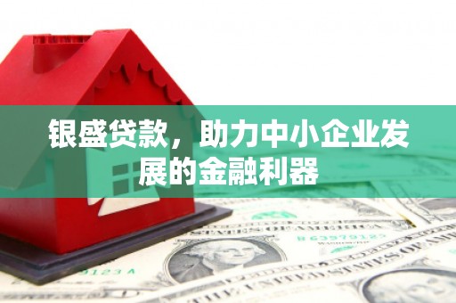 平湖银盛贷款，助力中小企业发展的金融利器