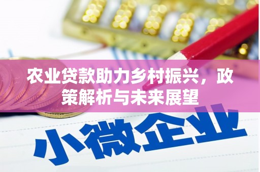 东方农业贷款助力乡村振兴，政策解析与未来展望