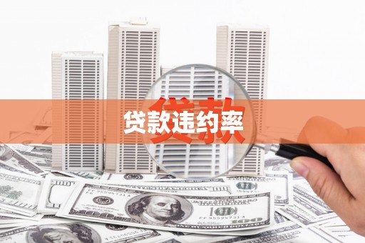 延津贷款违约率