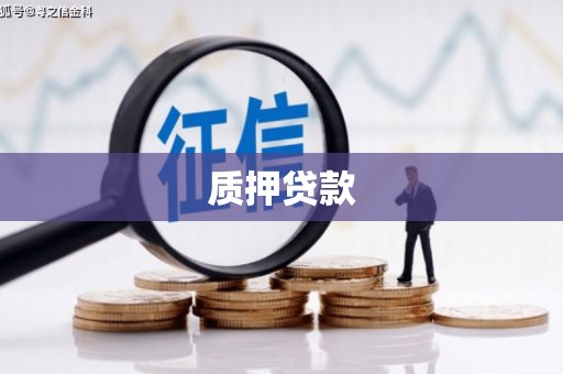 新园质押贷款