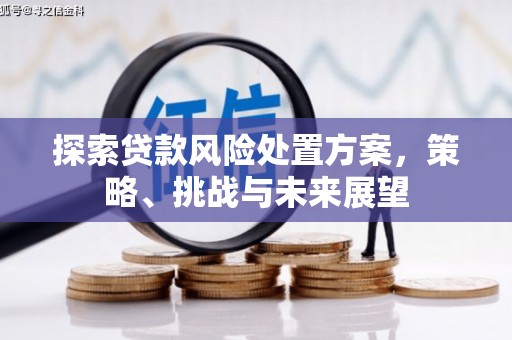 三台探索贷款风险处置方案，策略、挑战与未来展望
