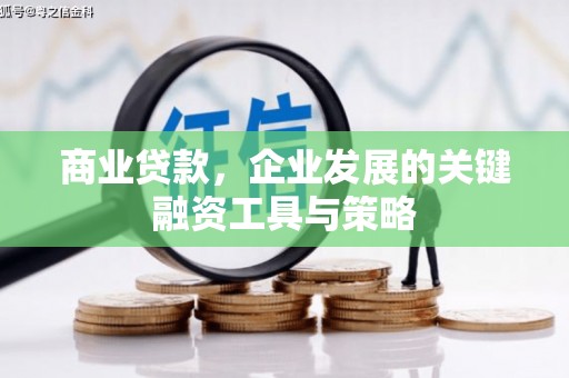 德钦商业贷款，企业发展的关键融资工具与策略