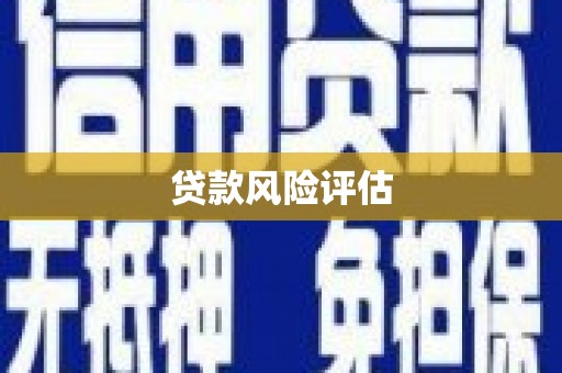 孝昌贷款风险评估
