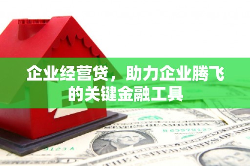 洪雅企业经营贷，助力企业腾飞的关键金融工具