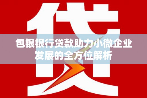 迭部包银银行贷款助力小微企业发展的全方位解析 迭部包银银行贷款助力小微企业发展的全方位解析