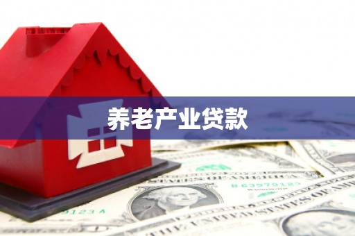 赵县养老产业贷款