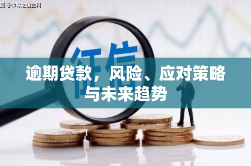 元谋逾期贷款，风险、应对策略与未来趋势