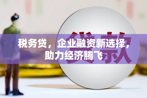 虎林税务贷，企业融资新选择，助力经济腾飞