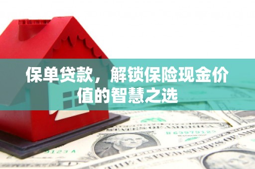 孟村保单贷款，解锁保险现金价值的智慧之选