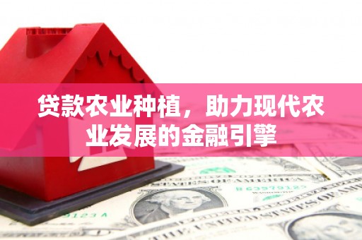 隆尧贷款农业种植，助力现代农业发展的金融引擎