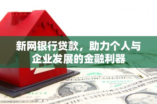 桐乡新网银行贷款，助力个人与企业发展的金融利器