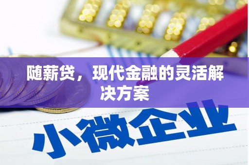 泸溪随薪贷，现代金融的灵活解决方案