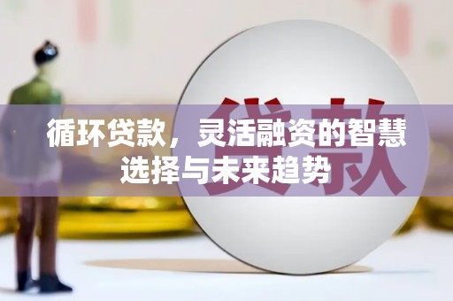 凉山循环贷款，灵活融资的智慧选择与未来趋势