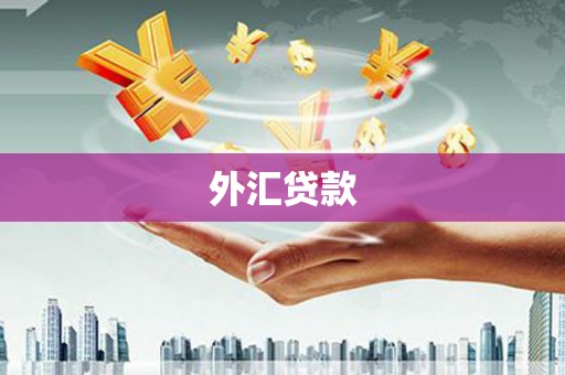 米东外汇贷款