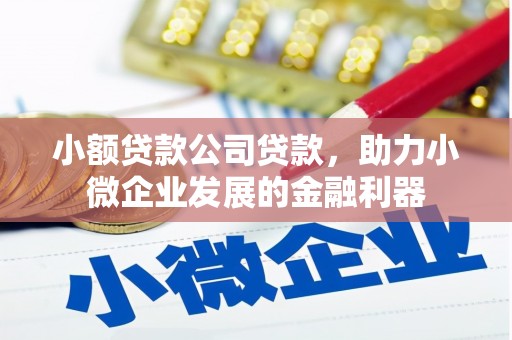 吉木萨尔小额贷款公司贷款，助力小微企业发展的金融利器