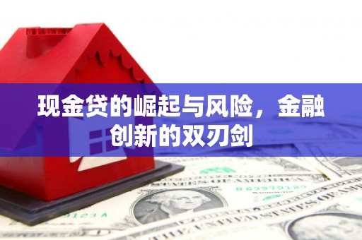 沧县现金贷的崛起与风险，金融创新的双刃剑