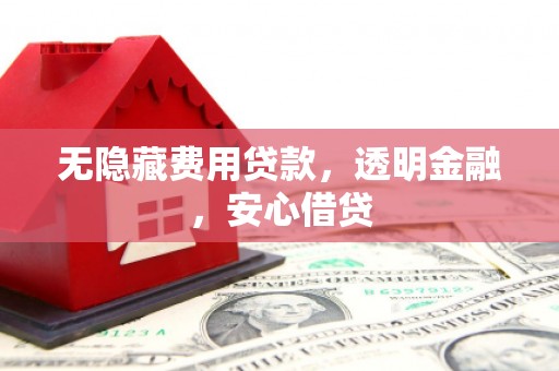 府谷无隐藏费用贷款，透明金融，安心借贷