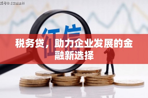 康乐税务贷，助力企业发展的金融新选择