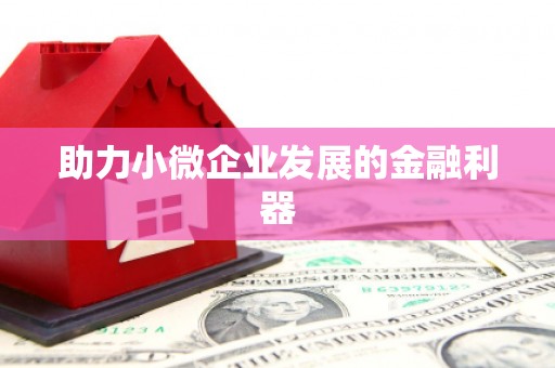 勉县助力小微企业发展的金融利器