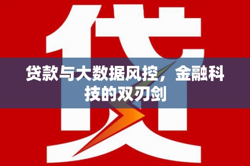 烟台贷款与大数据风控，金融科技的双刃剑