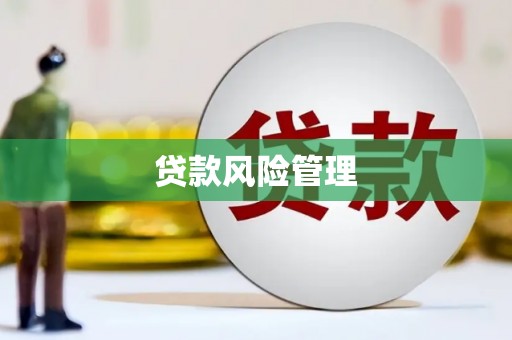 天等贷款风险管理