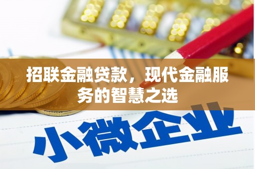 滨海招联金融贷款，现代金融服务的智慧之选