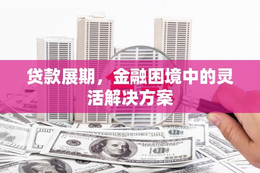 芦洲贷款展期，金融困境中的灵活解决方案