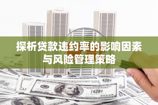 美溪探析贷款违约率的影响因素与风险管理策略