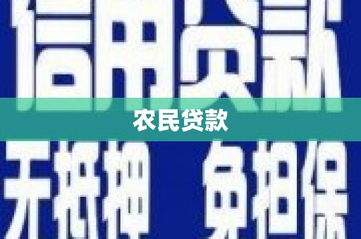二林农民贷款