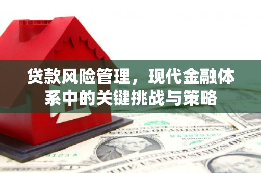 明山贷款风险管理，现代金融体系中的关键挑战与策略