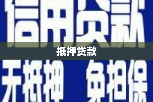 新园抵押贷款