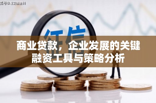 澧县商业贷款，企业发展的关键融资工具与策略分析