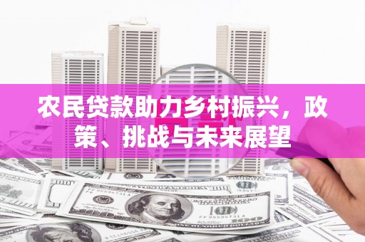 泊头农民贷款助力乡村振兴，政策、挑战与未来展望