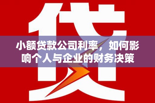 民雄小额贷款公司利率，如何影响个人与企业的财务决策