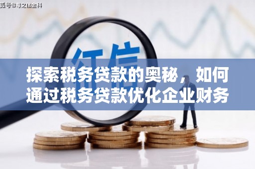 启东探索税务贷款的奥秘，如何通过税务贷款优化企业财务