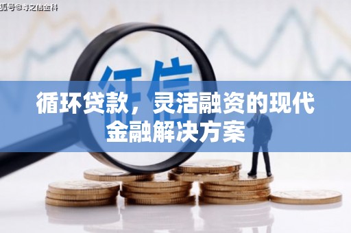 沙洋循环贷款，灵活融资的现代金融解决方案