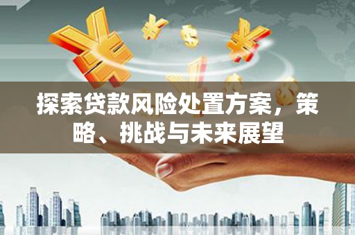 丹寨探索贷款风险处置方案，策略、挑战与未来展望