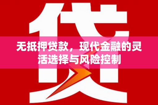仙游无抵押贷款，现代金融的灵活选择与风险控制