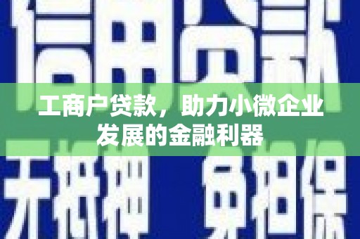 镇原工商户贷款，助力小微企业发展的金融利器