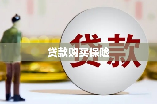 黔西贷款购买保险
