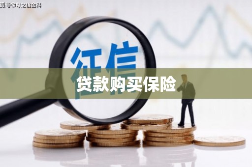 枞阳贷款购买保险