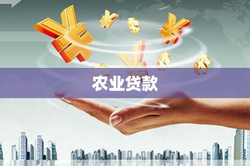 溪州农业贷款